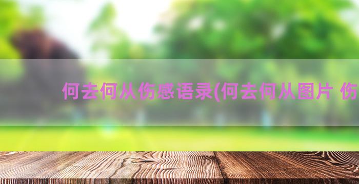 何去何从伤感语录(何去何从图片 伤感)